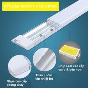 Bóng Đèn Bán Nguyệt DSY 1M2 (Hàng Cty) 36W