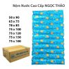 Nệm Nước Mùa Hè 75 X 85cm Ngọc Thảo Full Hộp