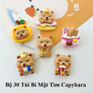 Bộ 30 Túi Bí Mật Tìm Capybara