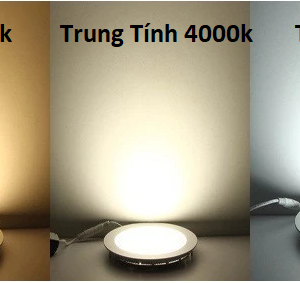 Bóng Đèn Led Âm Trần DSY 12W/ 9W/ 6W (Hàng Cty) sáng trắng 6500k/ Trung Tính 4000k - 9W sáng trắng 6500k