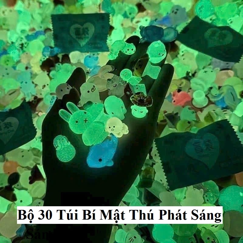 Bộ 30 Túi Bí Mật Thú Phát Sáng