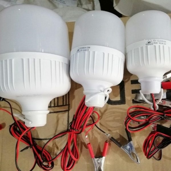 Bóng đèn Buld Kẹp Bình 12v 30w