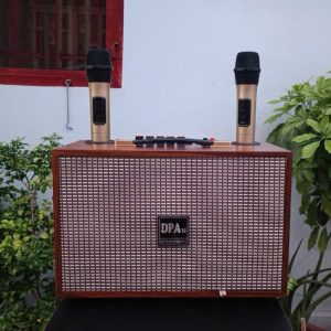 Loa Karaoke DPAu (2 Mic) 2105 Bass 2 Tấc