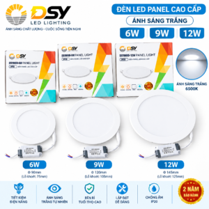 Bóng Đèn Led Âm Trần DSY 12W/ 9W/ 6W (Hàng Cty) sáng trắng 6500k/ Trung Tính 4000k-HDDT - 12W sáng trắng 6500k