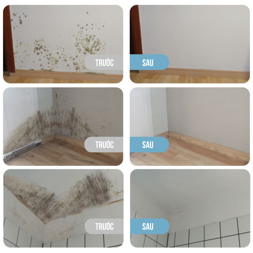 Chai xịt tẩy nấm mốc 500ml LKB