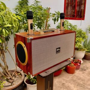 Loa karaoke kẹo kéo DPA 2216. 2 bass 20cm (hàng đặt trong ngày)