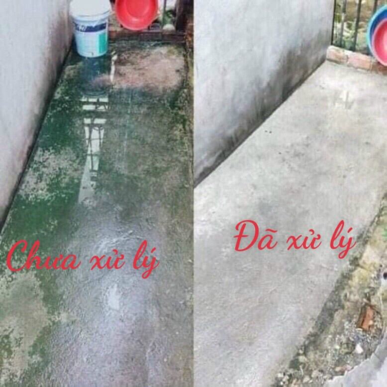 Bột tẩy rong rêu trên nền xi măng , Gói 500 Gam | Lazada.vn