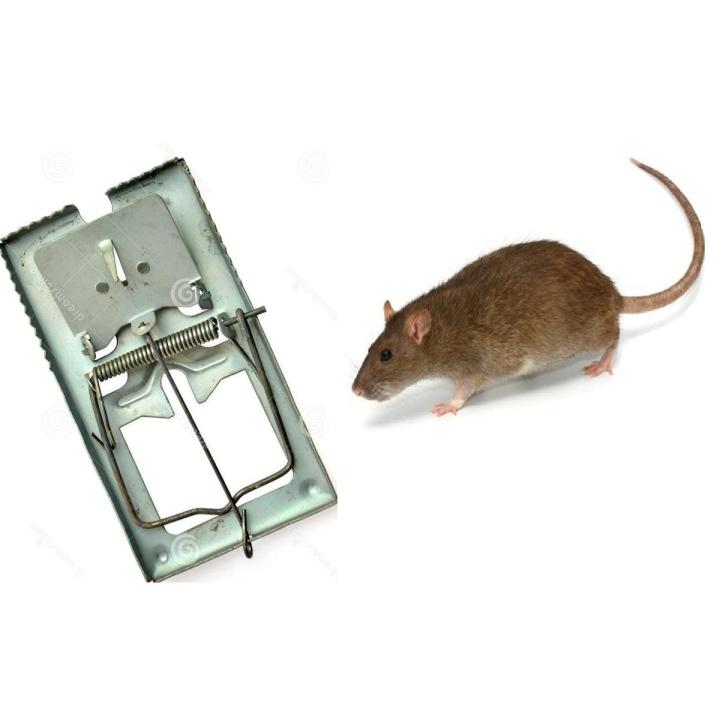 Rat Mouse Trap Catcher for Home Use | Daraz.pk