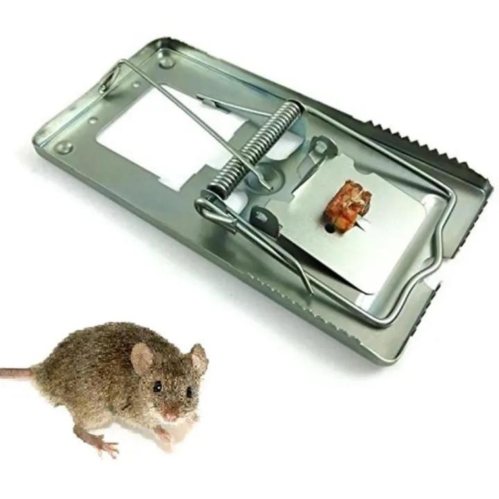 Stainless Steel Reusable Rat Trap (Idurer kol) | Daraz.com.bd
