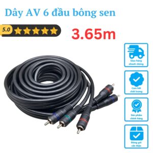 Dây AV 6 đầu bông sen 3m65 – PCTTCA008///DL///1