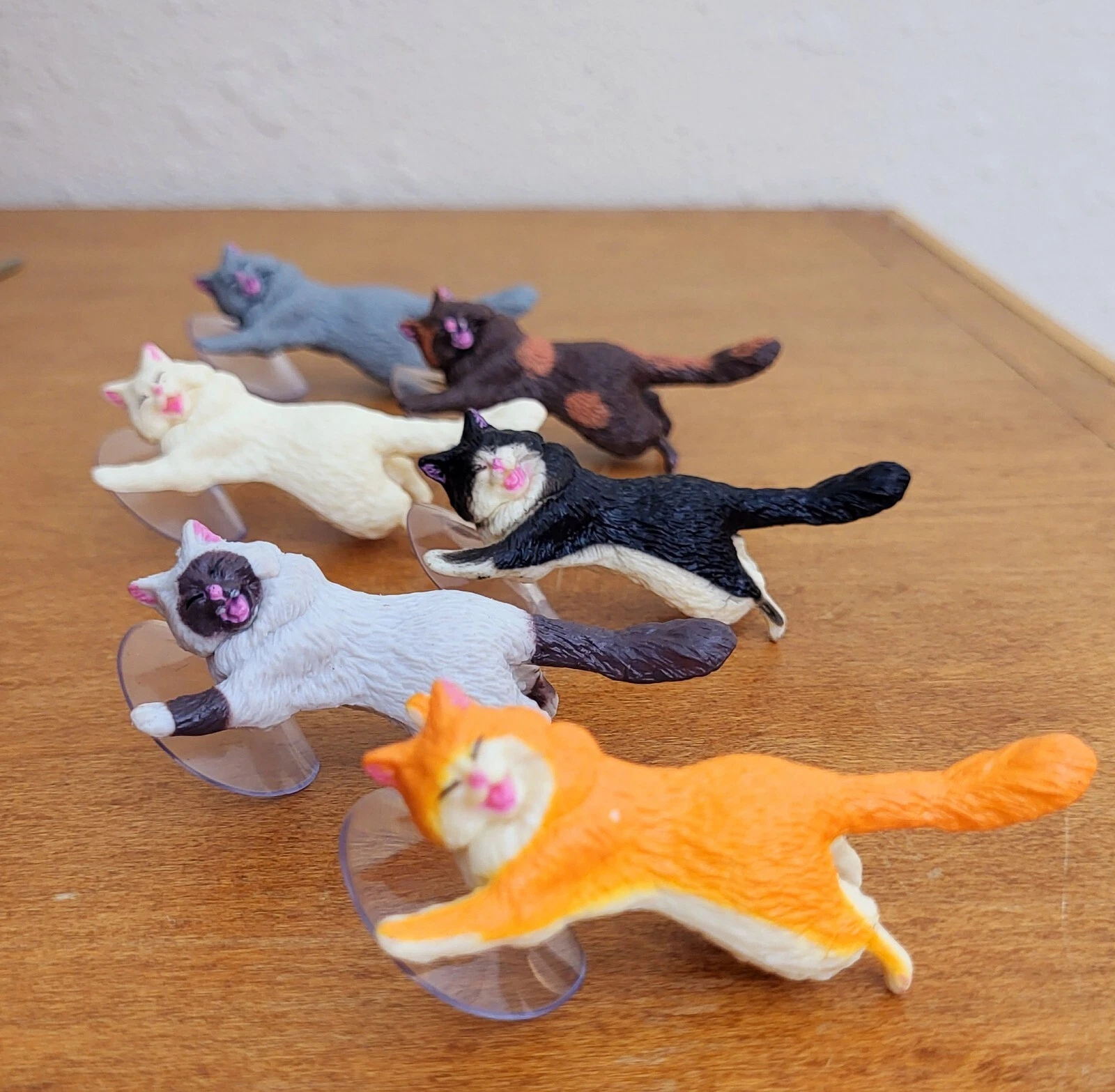 Bộ 6 giá đỡ điện thoại cho mèo con bằng nhựa có giác hút - Hình ảnh 2 trong 6