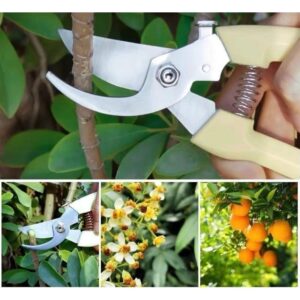 Kéo Cắt Lá Tỉa Cành Loại Rẻ (Lưỡi Cong)