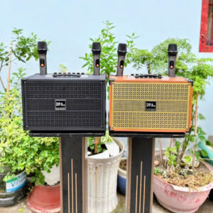 Loa kẹo kéo karaoke DPAu A8 bass 20. (hàng đặt trong ngày) sẵn 1