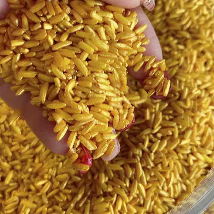 Bán sỉ 1kg gạo Vàng Thần Tài thu lộc chiêu tài bán buôn bỏ sỉ ...