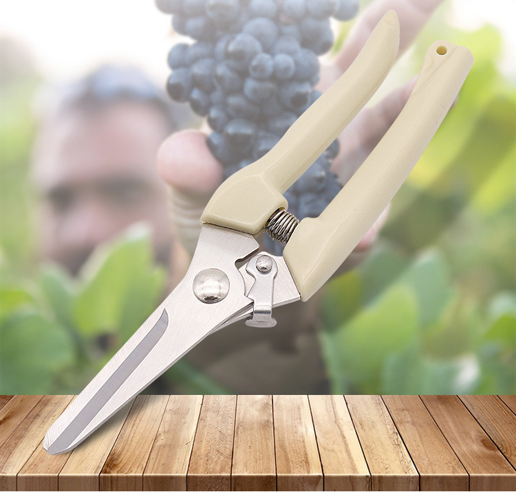 Kéo làm vườn ,cắt tỉa (lưỡi thẳng,lưỡi cong)