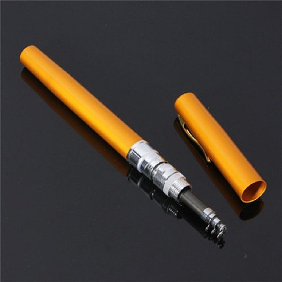 Câu cá với cần câu bút