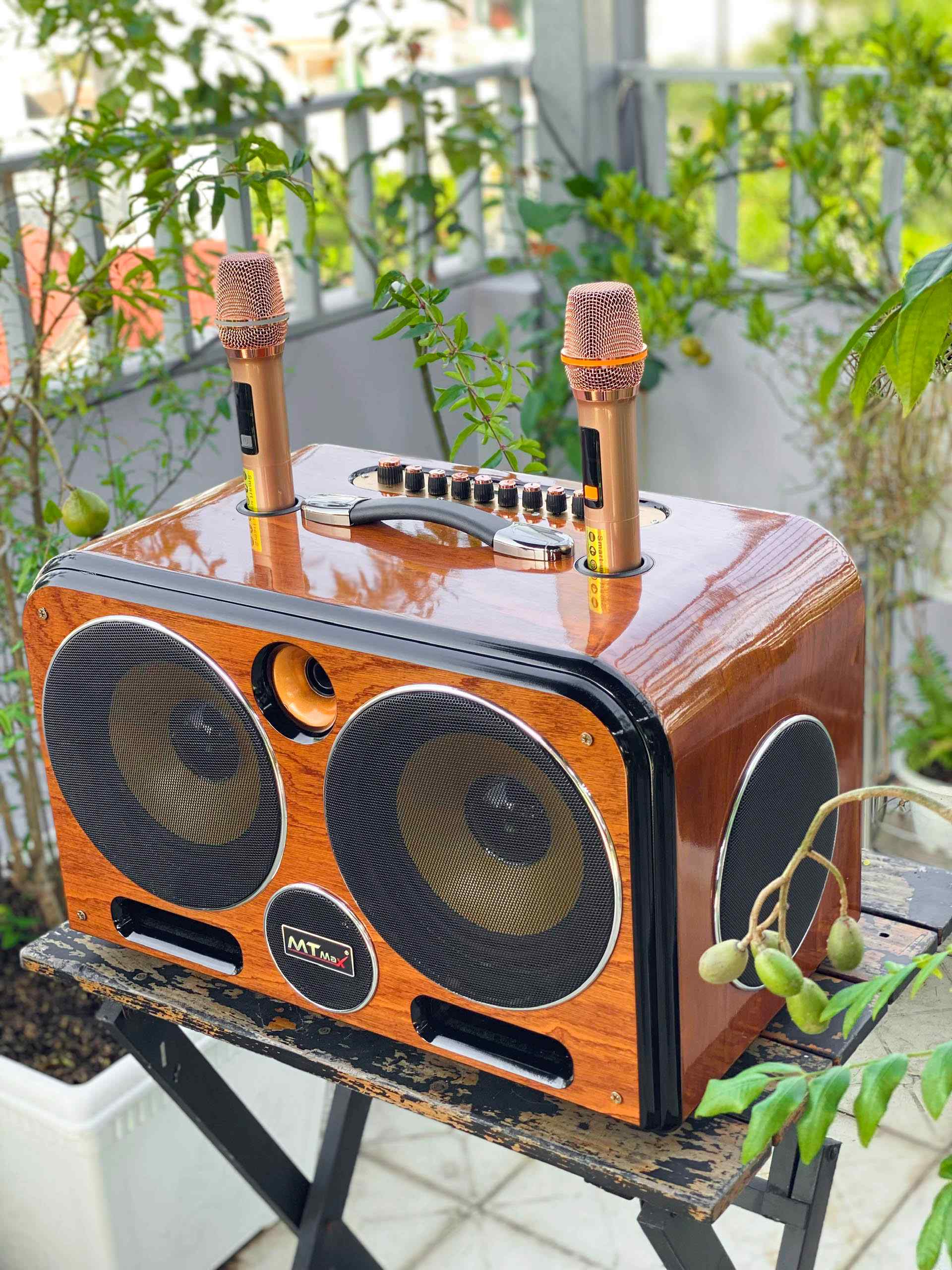 MT-Max Chuyên cung cấp phân phối các thiết bị âm thanh cáo cấp toàn quốc