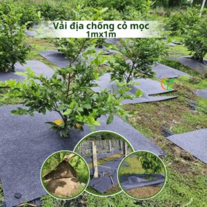 Bạt Che Chống Cỏ Dại Giữ Ẩm/ Tấm vải địa phủ đất (Vuông 1M)