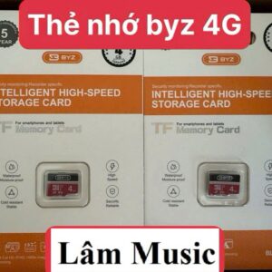 Thẻ Nhớ BYZ BL-F753 4GB. VM