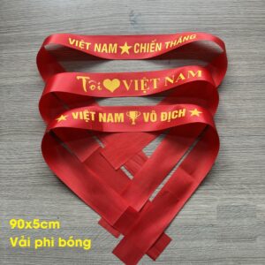 Băng ron cổ vũ cho đội tuyển Việt Nam///10///H