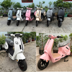 Xe máy điện Slay động cơ đồng mạnh mẽ , IC ĐÚC xịn sò 800W. (hàng đặt trong ngày)