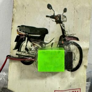 Chíp Nhại Còi Xe Máy///DL///2