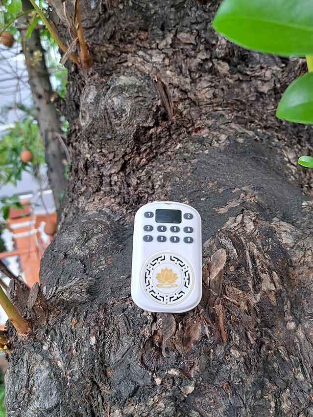 Máy Niệm Phật YN-002 Đeo Cổ Mini
