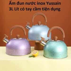 Ấm đun nước inox Yussain 3L Lít có tay cầm tiện dụng