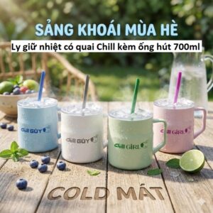 Ly giữ nhiệt có quai Chill kèm ống hút 700ml. (GDN/KN)