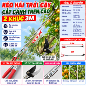 Kéo Hái Trái Cây Cắt Cành Trên Cao 2 Khúc 3M. KSWT