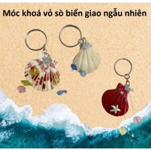 Móc khoá vỏ sò biển giao ngẫu nhiên